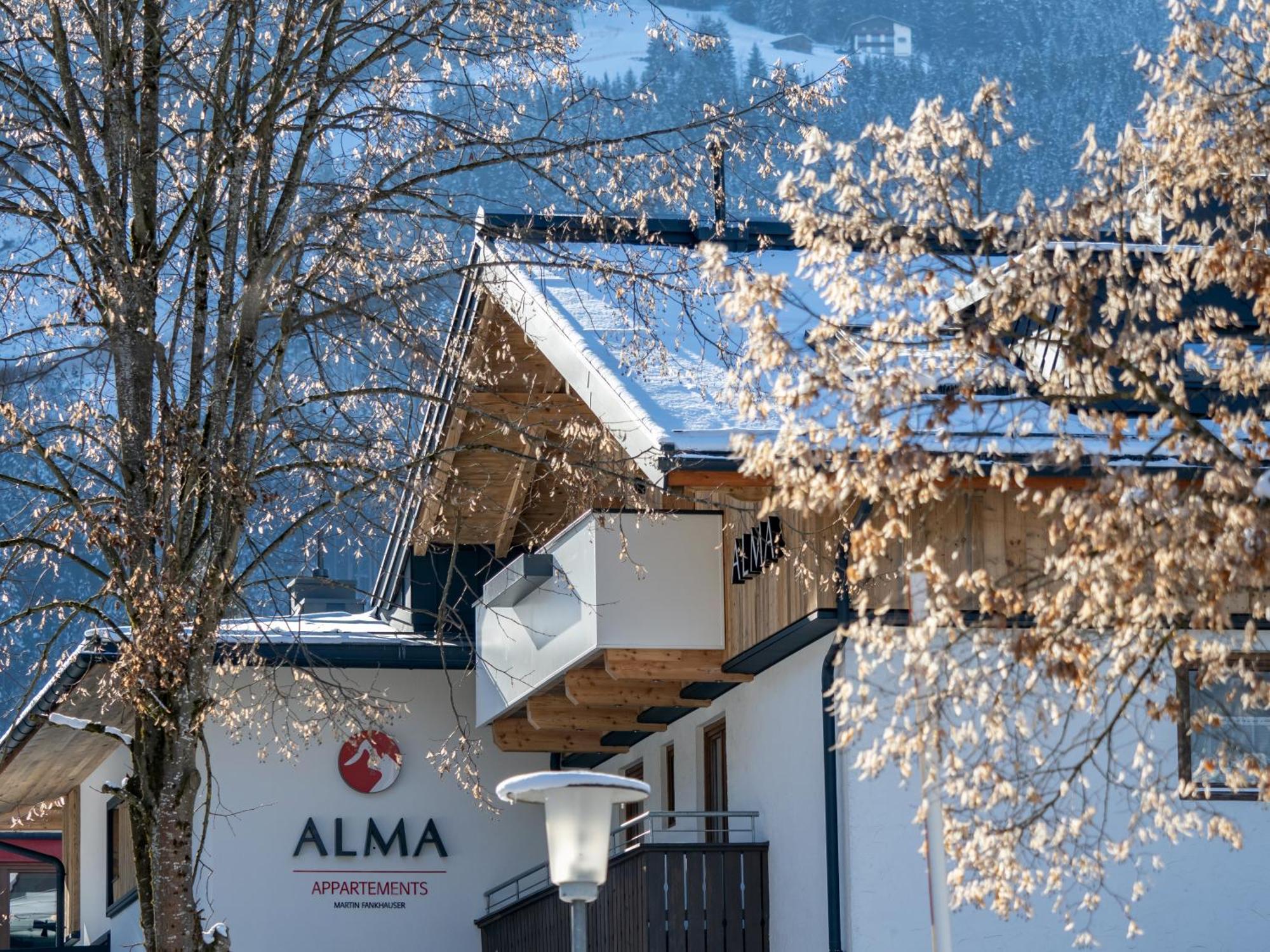 Appartements Alma Mayrhofen Dış mekan fotoğraf
