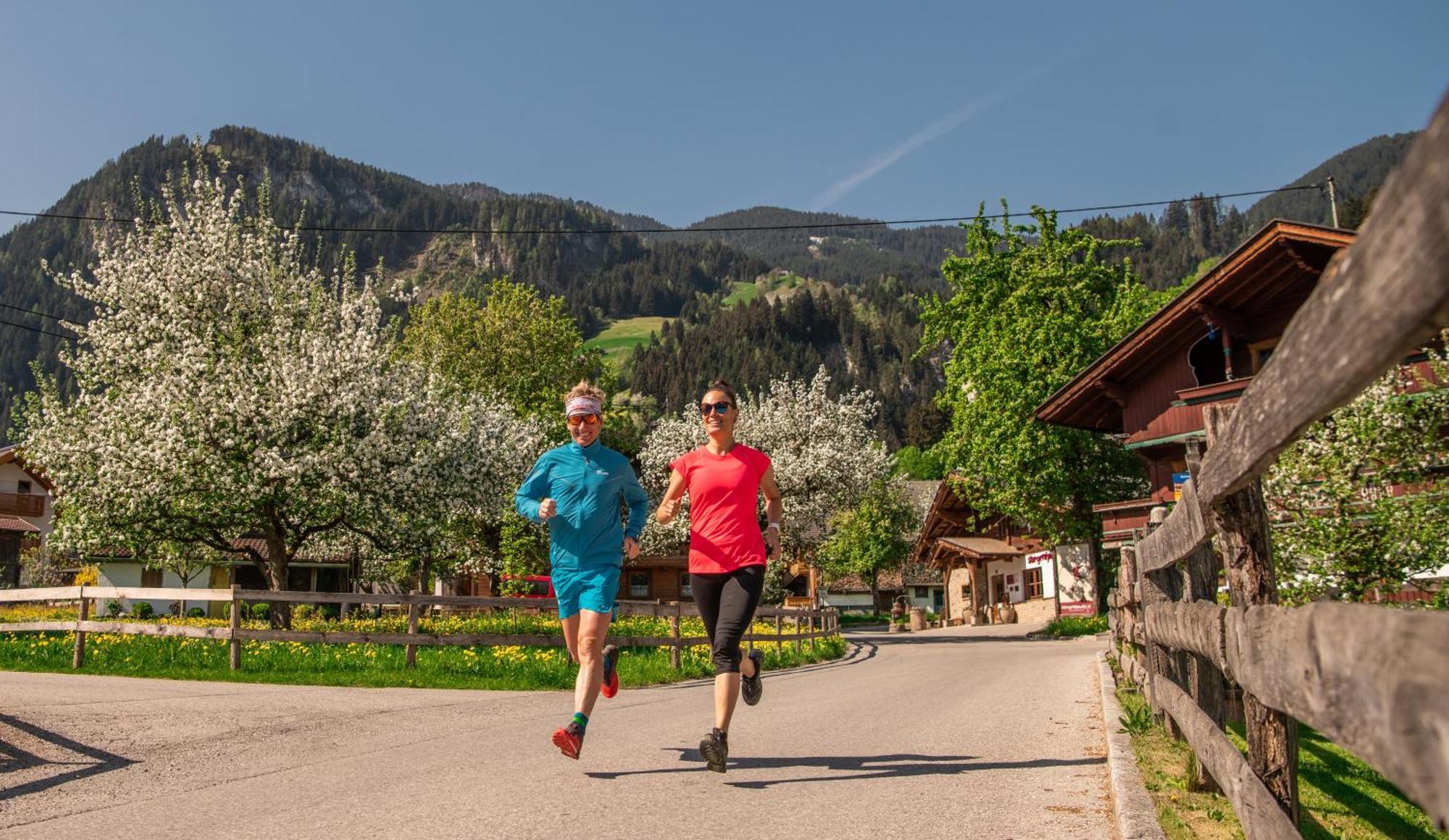Appartements Alma Mayrhofen Dış mekan fotoğraf